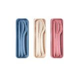 SET DE CUBIERTOS THAI AZUL KTC 590 A (PLÁSTICO - FIBRA DE TRIGO) - Imagen 6