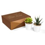 KTC 750 B - SET DE PLANTAS ALISO BLANCO (BLANCO - PLASTICO - CARTON) - Imagen 8