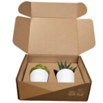 KTC 750 B - SET DE PLANTAS ALISO BLANCO (BLANCO - PLASTICO - CARTON) - Imagen 3