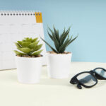 KTC 750 B - SET DE PLANTAS ALISO BLANCO (BLANCO - PLASTICO - CARTON) - Imagen 6