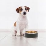 TAZÓN GEMINI AZUL MARINO PT-001A ( PT-001 - PT001 -  ) - Imagen 5