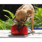 PORTA BOLSAS ROCHOR NEGRO PT-008N ( PT-008 - PT008 -  ) - Imagen 3