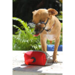 PORTA BOLSAS ROCHOR NEGRO PT-008N ( PT-008 - PT008 -  ) - Imagen 2