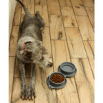 PLATO SCOGLITTI NEGRO PT-010N ( PT-010 - PT010 -  ) - Imagen 7