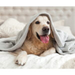 FRAZADA DE FELPA HELSINKI GRIS TX-203G ( TX-203 - TX203 - ACCESORIOS DE VIAJE,DECORACIÓN ) - Imagen 3