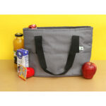 HIELERA SPERONE GRIS TX-220G ( TX-220 - TX220 -  ) - Imagen 4